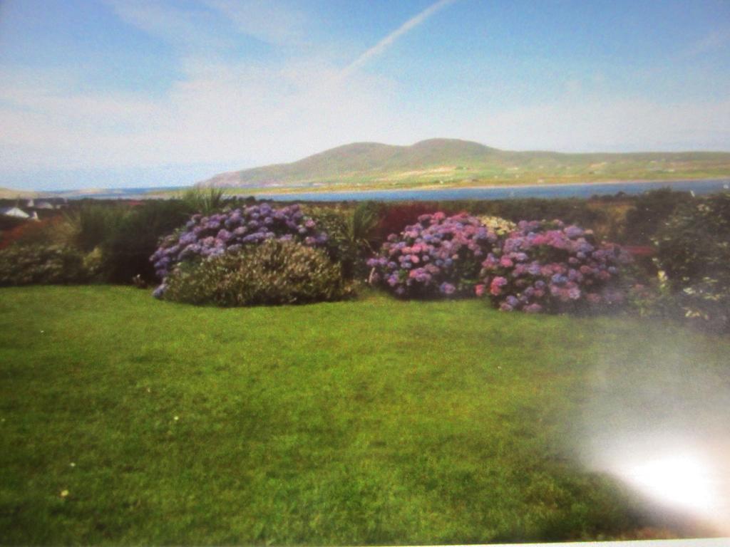 Ocean View B&B Killarney Bagian luar foto